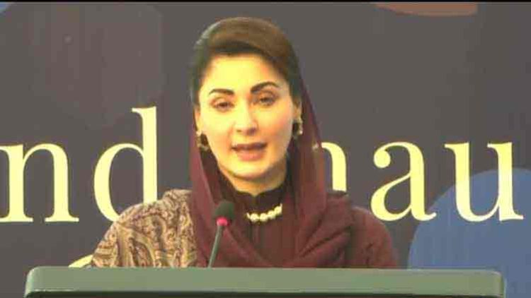 CM Punjab expresses education partnership with Turkiye