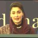 CM Punjab expresses education partnership with Turkiye