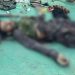 8 khwarij killed in two separate engagements in KP: ISPR