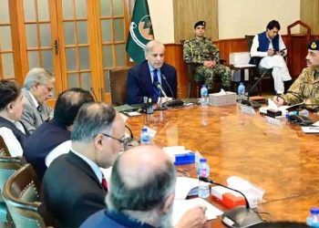 Apex Committee to review National Action Plan today