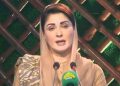 Positive economic indicators emerging under PML-N leadership, says CM Maryam