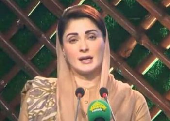 Positive economic indicators emerging under PML-N leadership, says CM Maryam