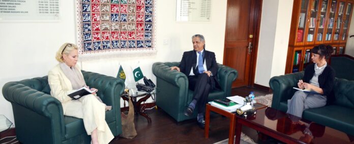 Swedish envoy calls on Azam Tarar