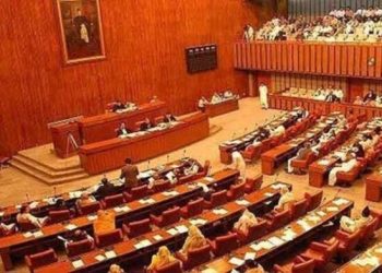 Senate refers key bills to standing committee for review