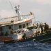 List of Pakistani human traffickers finalised