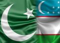 Pakistan, Uzbekistan hold third round of bilateral consultations