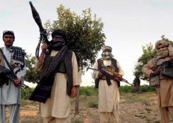 Terrorists from Afghanistan arrested in operation near Pak-Afghan border