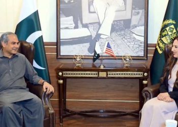 US ambassador calls on Mohsin Naqvi