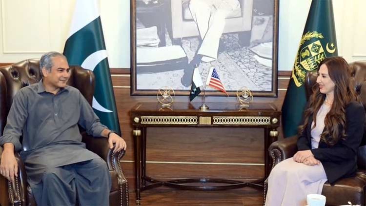 US ambassador calls on Mohsin Naqvi