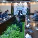 Health minister for eliminating substandard medicines