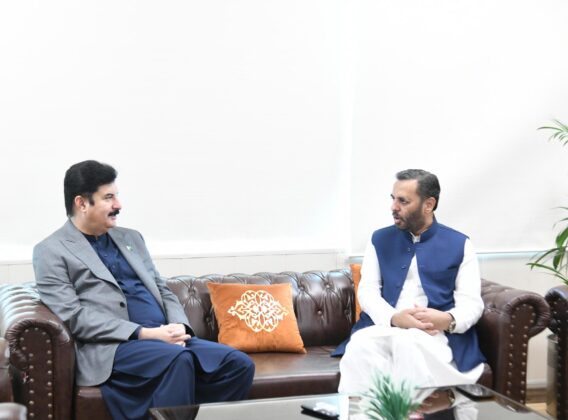 Governor KP meets Health Minister