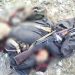 Security forces kill 10 khawarij: ISPR
