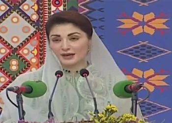 Punjab’s culture close to my heart, says CM Maryam