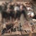 Four Khwarij terrorists killed in joint intelligence based operation in Swat: ISPR