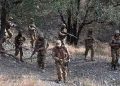 Eight terrorists eliminated in KP IBOs: ISPR