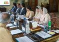 CM Maryam furious at ‘undue hike’ in chicken prices in Punjab