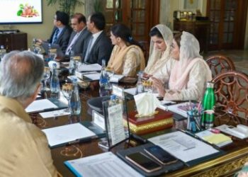 CM Maryam furious at ‘undue hike’ in chicken prices in Punjab
