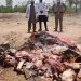 Motorway police seize 2,000 kg unhealthy meat near Islamabad