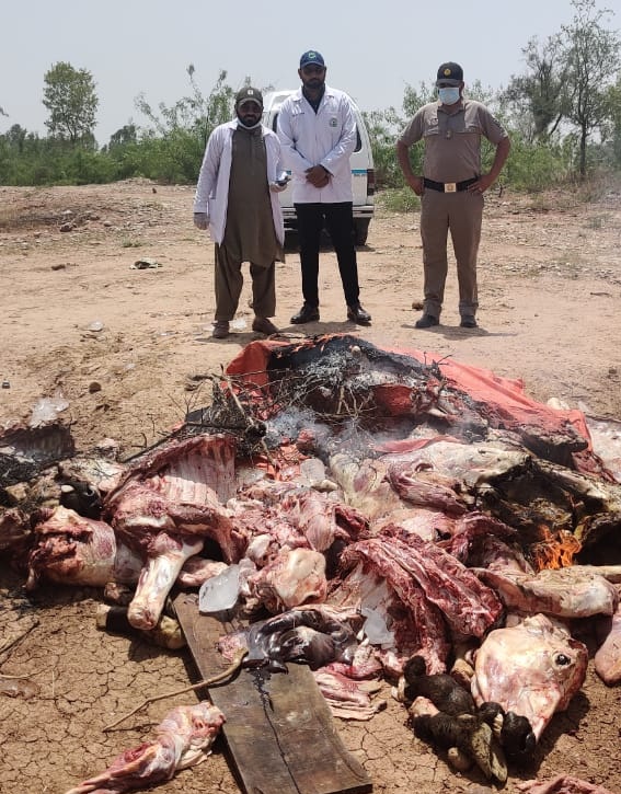 Motorway police seize 2,000 kg unhealthy meat near Islamabad