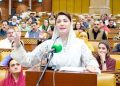CM Maryam says those dreaming of Nawaz’s exit got themselves ‘minus’ from politics