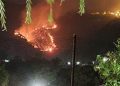 Fire breaks out in Margalla Hills, ICT admin issues ban on barbecue, bonfires