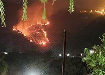 Fire breaks out in Margalla Hills, ICT admin issues ban on barbecue, bonfires