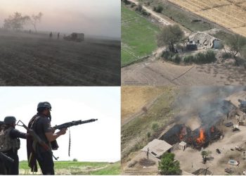 Punjab Police intensified Intelligence-based operations against Katcha criminals
