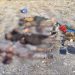 Security forces killed seven terrorists in two separate operations in Balochistan