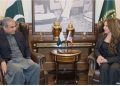 Acting U.S. Ambassador meets Interior Minister Mohsin Naqvi to discuss regional peace, bilateral cooperation