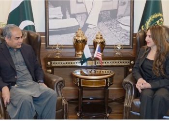 Acting U.S. Ambassador meets Interior Minister Mohsin Naqvi to discuss regional peace, bilateral cooperation