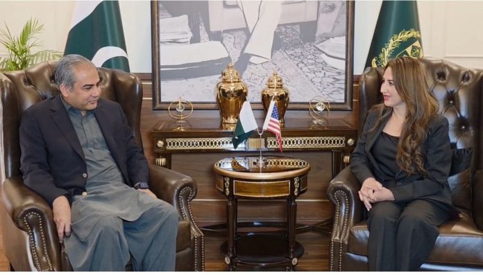 Acting U.S. Ambassador meets Interior Minister Mohsin Naqvi to discuss regional peace, bilateral cooperation