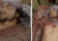 Security Forces killed five Khwarij in two separate engagements in Khyber Pakhtunkhwa