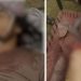 Security Forces killed five Khwarij in two separate engagements in Khyber Pakhtunkhwa