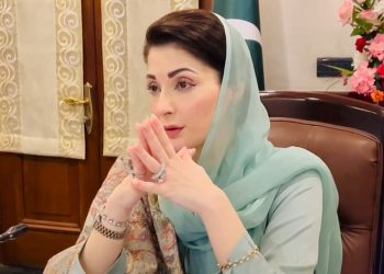 Punjab moving towards becoming a plastic-free province: CM Maryam