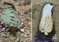 Post-mortem conducted after exhumation in Balochistan ‘honour killings’ case