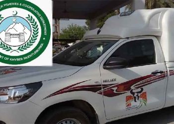 Audit reveals disappearance of 80 govt vehicles from KP livestock department