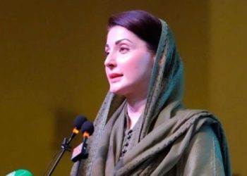 CM announces financial aid for lion attack victims