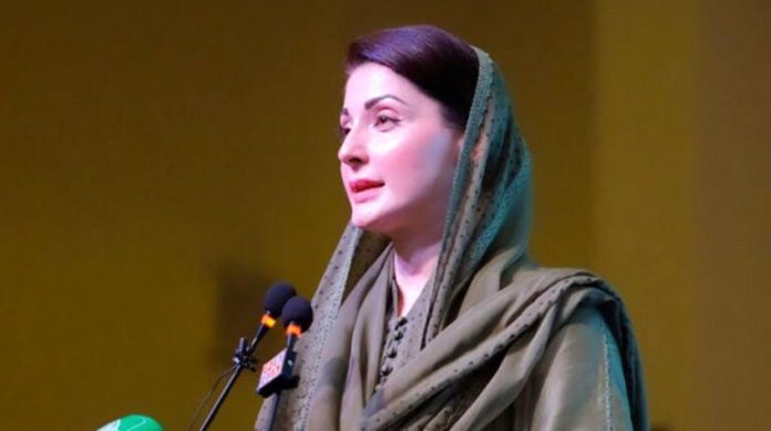 CM announces financial aid for lion attack victims