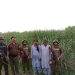 Intelligence-based targeted operations by Punjab Police Rahim Yar Khan against Kacha criminals continue