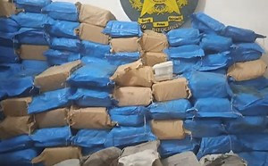 CCD foils cross-border drug trafficking bid