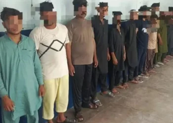 FIA foils illegal migration attempt to Iran, arrests 24