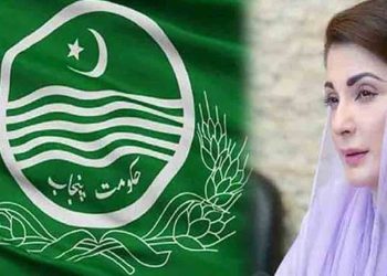 Punjab government takes big step against land grabbing mafia, draft of Anti-Land Grabbing Act 2025 ready