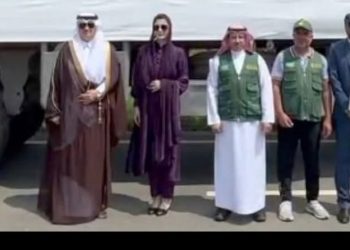 CM Punjab thanks Saudi leadership for relief aid to flood victims