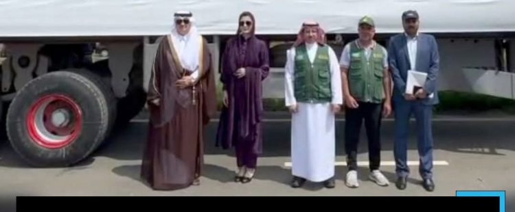 CM Punjab thanks Saudi leadership for relief aid to flood victims