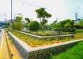PHA continues horticulture, beautification work on Murree Road