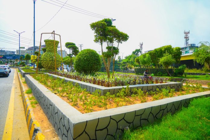 PHA continues horticulture, beautification work on Murree Road