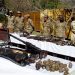 Pakistan Army successful neutralized explosive shell left behind Khawarij in Bajaur