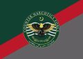 Punjab CNF arrests four in major operations across four cities