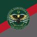 Punjab CNF arrests four in major operations across four cities