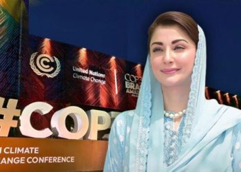 CM Punjab reaches Brazil to attend global COP 30 Conference